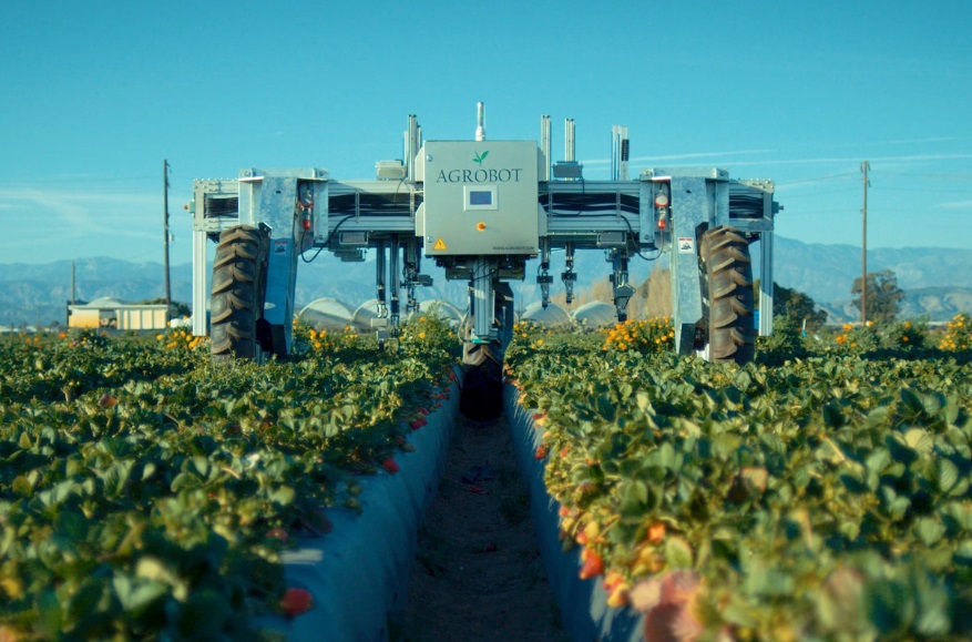 Agrobot