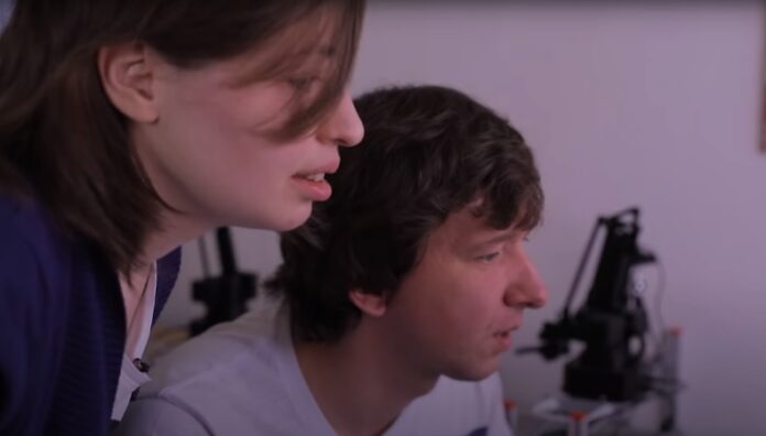 AI_NORN_team2