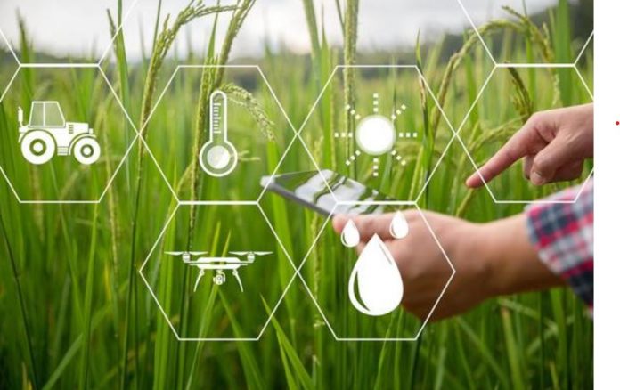 smart farming